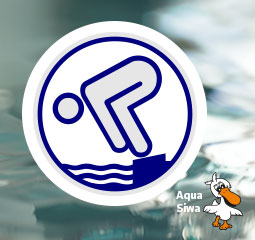 Silber Kurs Aqua Siwa