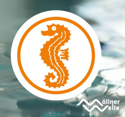 Seepferdchen Kurs Möllner Welle
